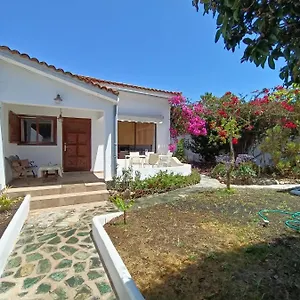 Apartment Schöne In Mit Garten., Puerto de la Cruz (Tenerife)